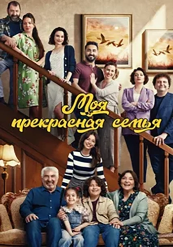 Моя прекрасная семья турецкий сериал